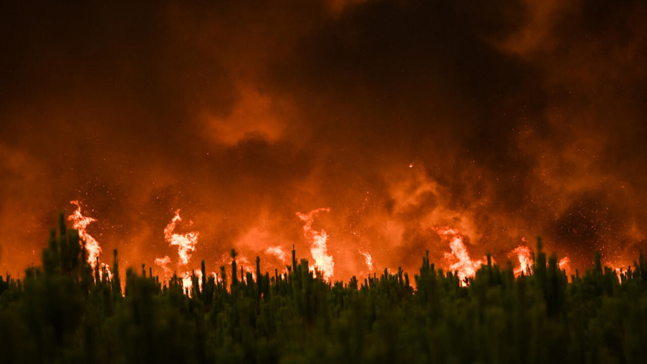Wildfire Events – Birthday Parties, Holiday Camps &amp; Family Fun