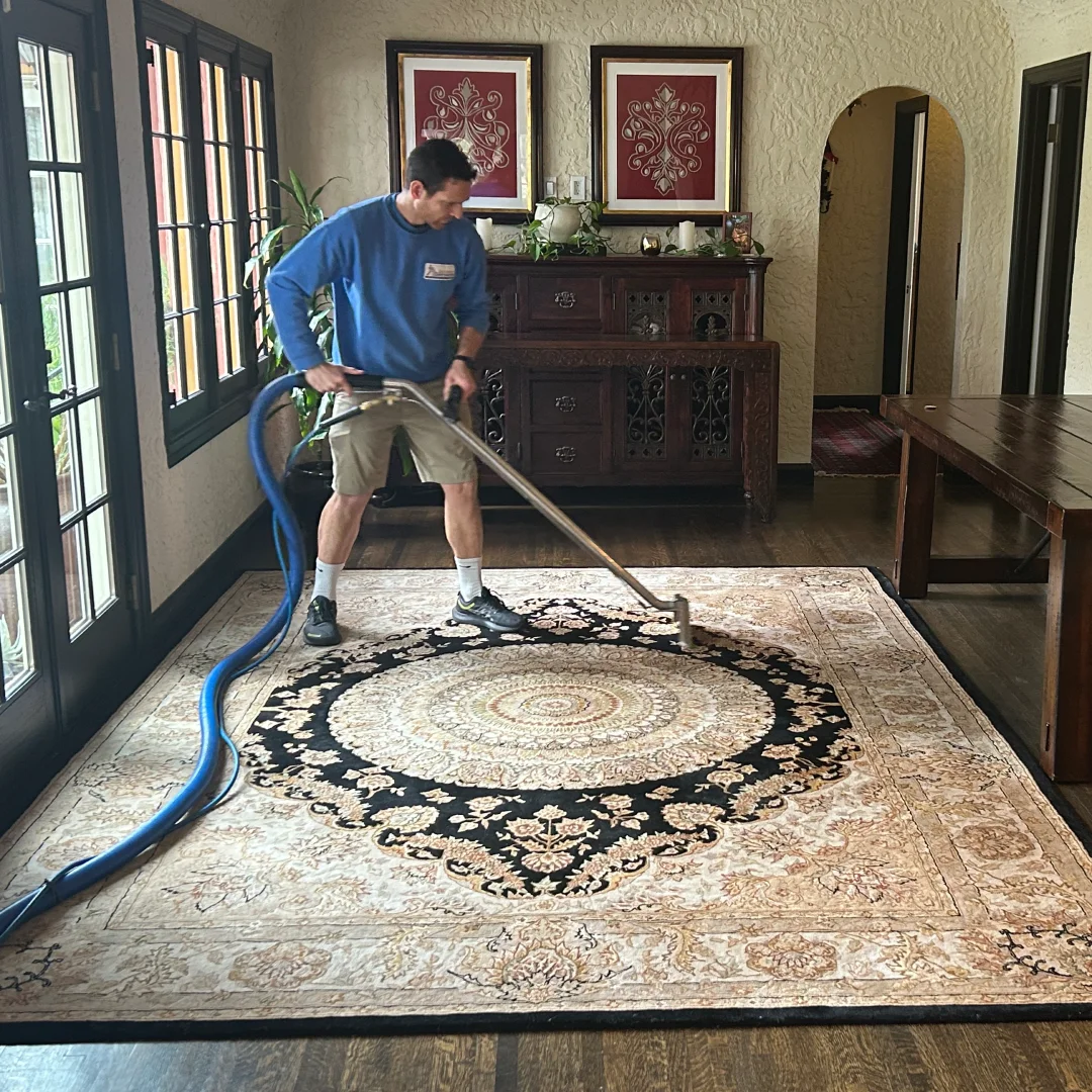 Local Specialists in area rug cleaning clarksville austin tx