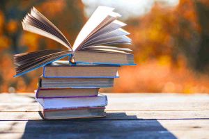 27_of_the_best_must-read_novels_hero