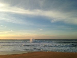 pexels-mamalouie-34532236