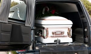 WhatsApp Image 2026-01-02 at 4.44.34 PM (2)